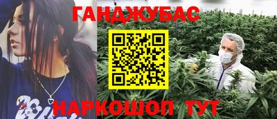 дмт Шелехов