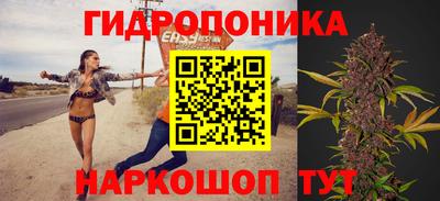 a pvp Шебекино
