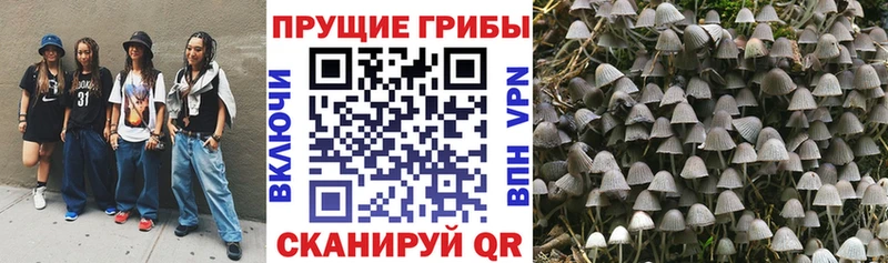 ссылка на мегу ССЫЛКА  Анапа  Галлюциногенные грибы Magic Shrooms 